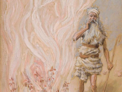 Who is the Angel of the LORD?